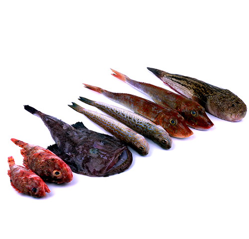 fresh-rock-mediterranean-mixed-fish