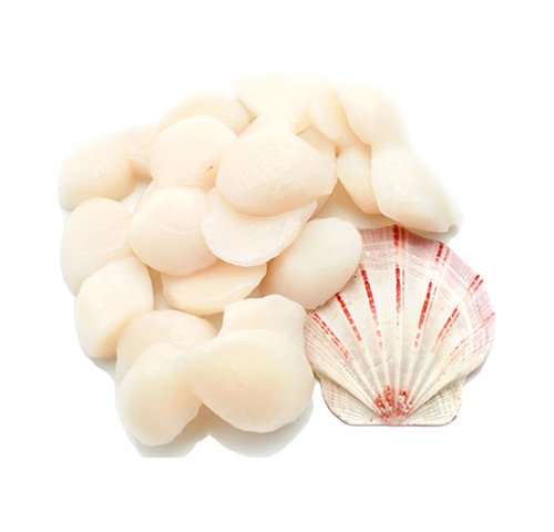 scallop-meat