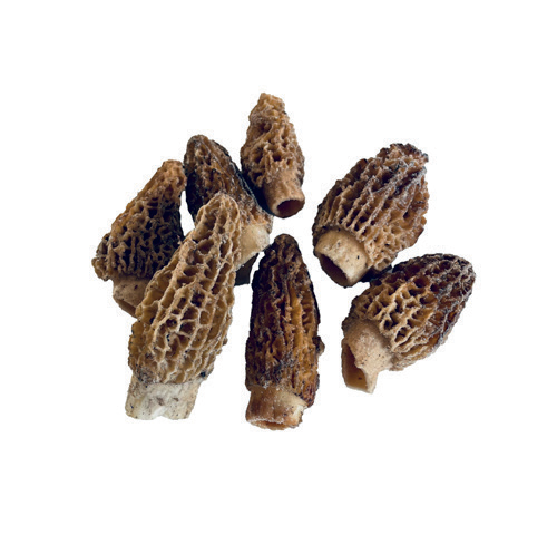 frozen-morels-1-kg-bag